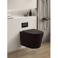 Matte Black Wall Hung Pan
